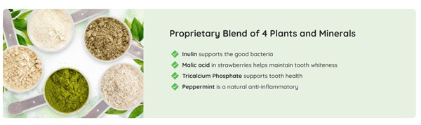Prodentim Review: A proprietary blend of 4 plants and minerals including Inulin, Malic acid from strawberries, Tricalcium Phosphate, and Peppermint for comprehensive oral health.
