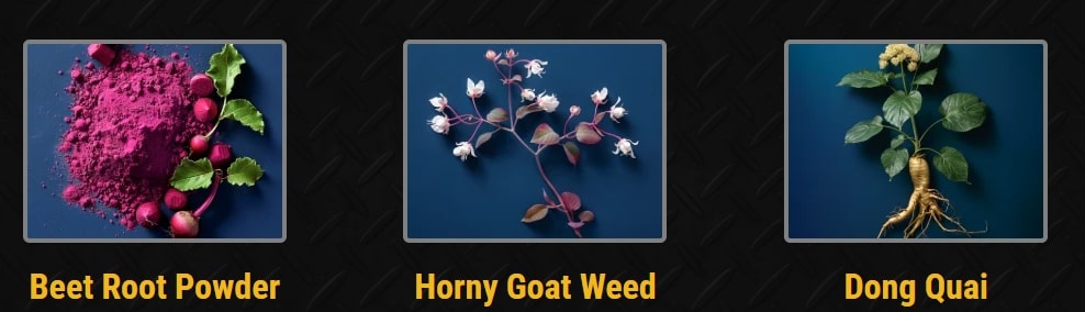 Key natural ingredients in Nitric Oxide Supplements including Beet Root Powder, Horny Goat Weed, and Dong Quai