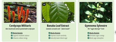 Key ingredients in GlucoTrust Bites – natural supplement for Type 2 Diabetes that helps balance blood sugar naturally