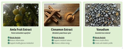 Key ingredients in GlucoTrust Bites – natural supplement for Type 2 Diabetes that helps balance blood sugar naturally