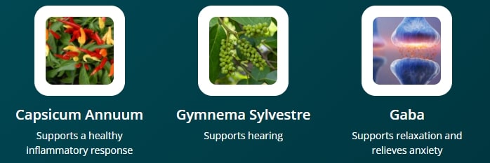 Graphic showing the rest of the Audifort formula ingredients: Capsicum Annuum, Gymnema Sylvestre, and GABA, which are crucial for relaxation and ear comfort.