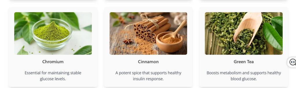 Gluco6 key ingredients: Chromium, Cinnamon bark extract, and Green Tea, used to lower blood sugar naturally and boost metabolism.