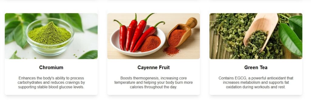 Mechanism of action diagram showing how AquaSculpt converts stored fat into energy to enhance a Balanced Diet for Weight Loss.