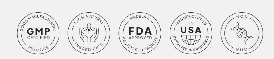 Synaptigen Review quality and safety seals including FDA, USA Made, and GMP certification, confirming the supplement's legitimacy and manufacturing standards.