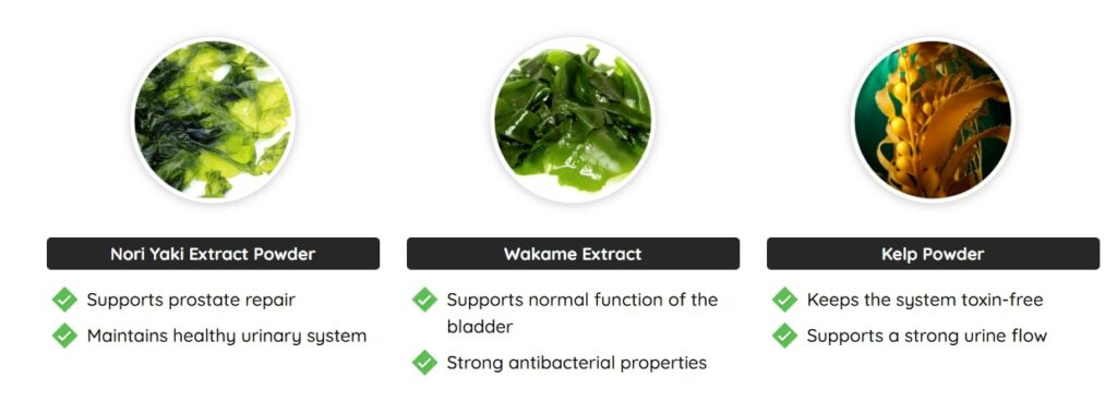 The primary natural components of Prostadine, including Nori Yaki, Kelp Powder, and Wakame Extract, shown as powerful extracts that detoxify and support the prostate.