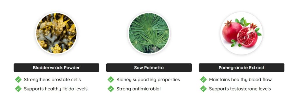 A detailed graphic showing the nine powerful, natural ingredients in the Prostadine formula, including Bladderwrack, Saw Palmetto, and marine extracts, for comprehensive prostate support.