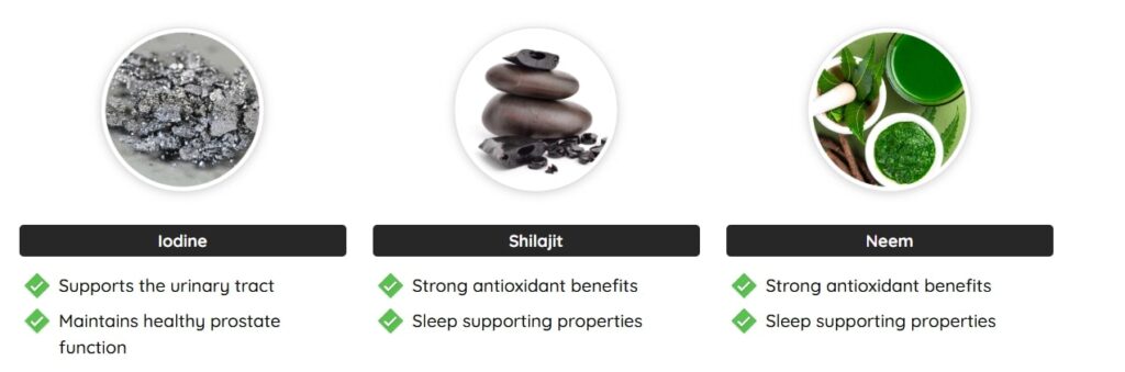 A detailed graphic showing the nine powerful, natural ingredients in the Prostadine formula, including iodine,shilajit , neem , for comprehensive prostate support.