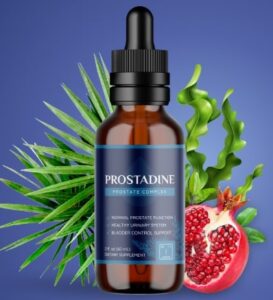 Image of the Prostadine liquid dietary supplement bottle, featuring the dropper cap and label for natural prostate health support.