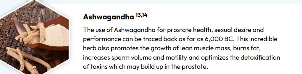 Ashwagandha root and powder used in natural supplements for prostate health, supporting hormone balance and male vitality.