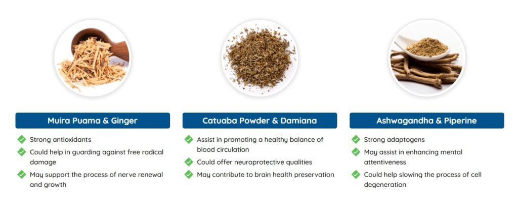 Quietum Plus key ingredients that may support ear wellness and help reduce buzzing in ear issues.