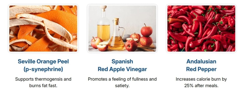 Key CitrusBurn ingredients: Seville Orange Peel, Spanish Apple Vinegar, and Boddacham Red Pepper, powerful botanicals used to boost slow metabolism after 35.