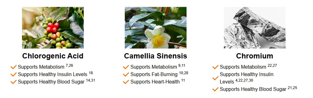 Java Burn ingredients including green tea extract as seen in many java burn reviews for natural metabolism boosting and weight loss support.