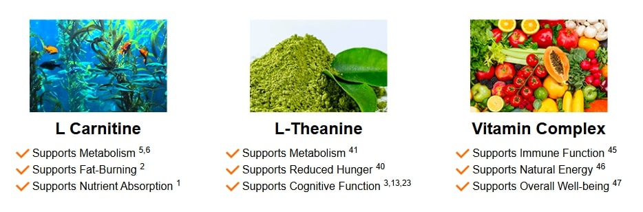 Java Burn ingredients i as seen in many java burn reviews for natural metabolism boosting and weight loss support.