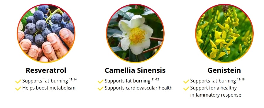 Natural dietary supplement for liver function featuring Genistein to reduce fat in liver naturally