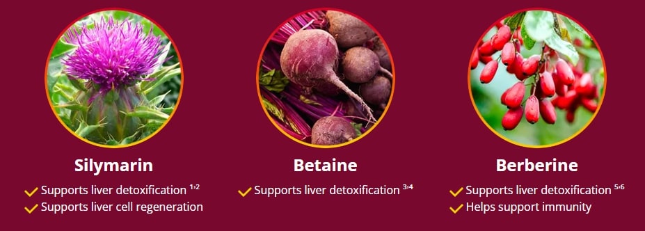 Hepatoburn dietary supplement for liver function with Silymarin and Berberine for natural detoxification