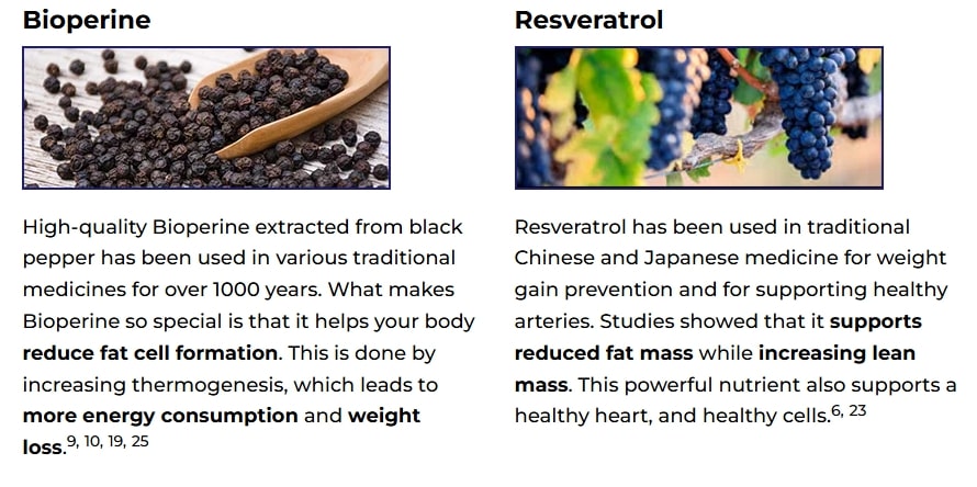 Ikaria Lean Belly Juice Review – Key natural ingredients panel showing fat metabolism–supporting plant extracts like Bioperine and Resveratrol