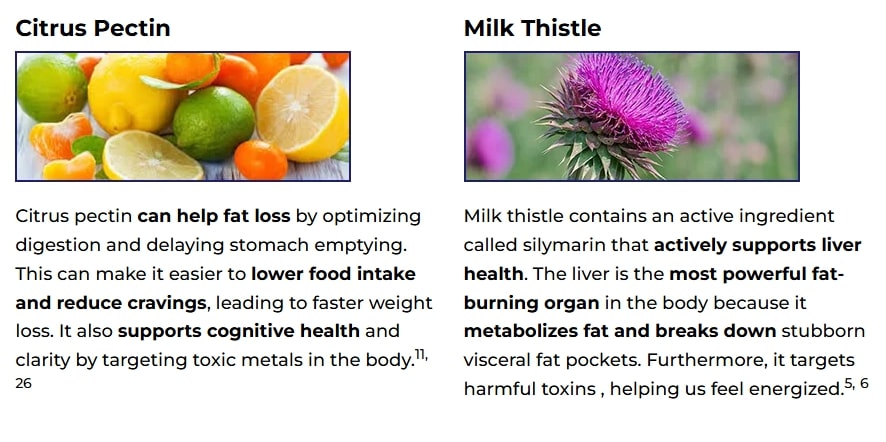 Ikaria Lean Belly Juice Review – Key natural ingredients panel showing fat metabolism–supporting plant extracts like Citrus Pectin and Milk Thistle