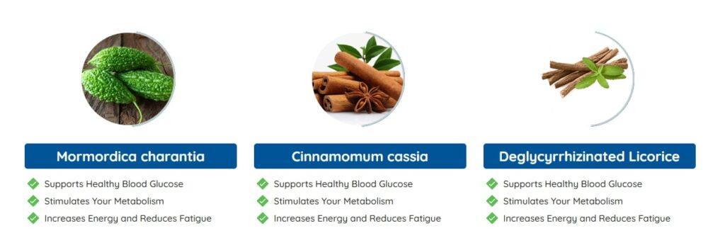 Gluco Extend Review highlighting plant-based ingredients used for natural blood sugar support
