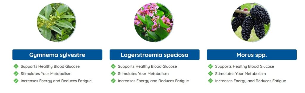 Gluco Extend Review explaining how the formula supports healthy glucose metabolism using natural plant extracts
