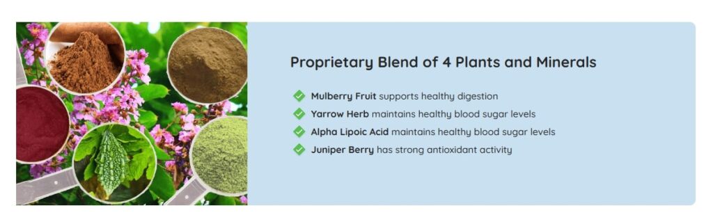 Gluco Extend Review describing a natural supplement formulated to support glucose balance and daily metabolic health
