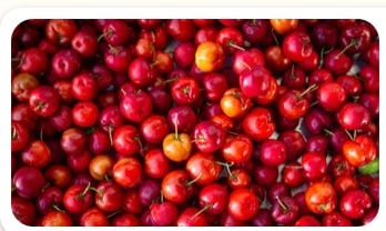 Fresh Acerola cherry extract, a key ingredient in Nagano Lean Body Tonic for an honest Nagano Tonic review.
