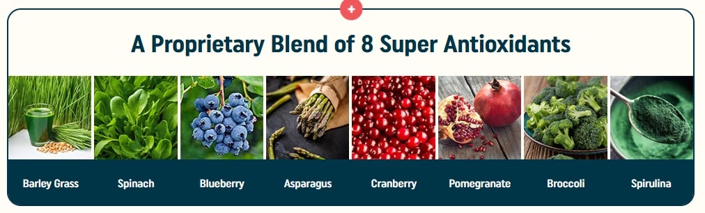 A proprietary blend of 8 super antioxidants including Spinach and Blueberry in Nagano Lean Body Tonic for a thorough Nagano Tonic review.