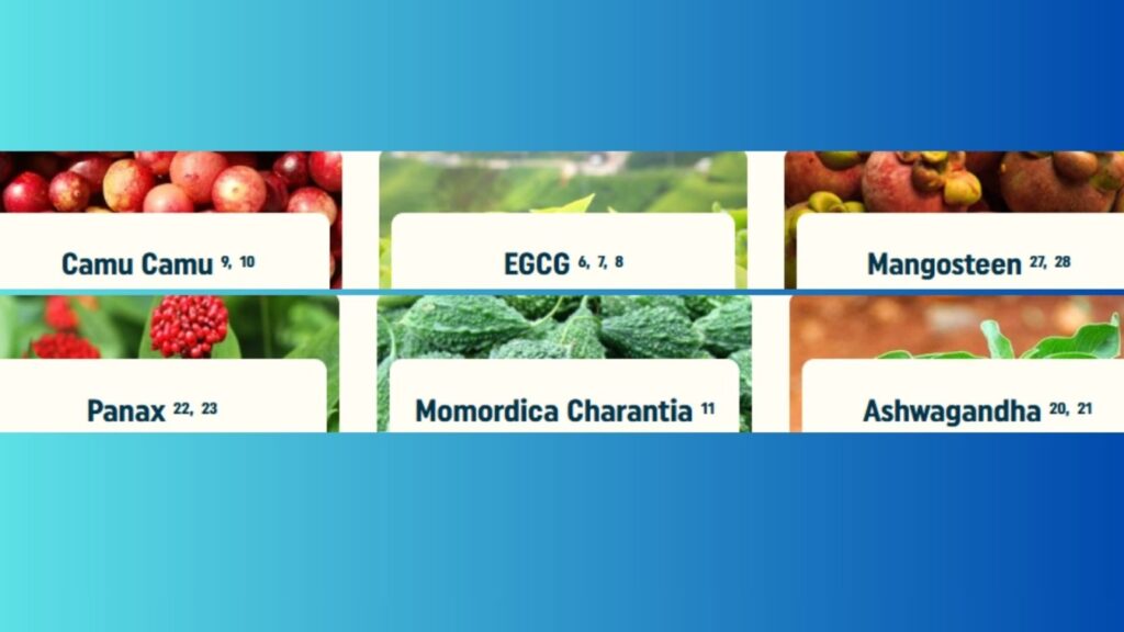 Natural ingredients grid explored in this Nagano Tonic review featuring Camu Camu, EGCG, and Ashwagandha for weight loss.
