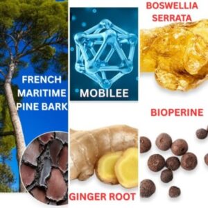 Joint Genesis Review ingredients including French Maritime Pine Bark, Mobilee, Boswellia Serrata, BioPerine, and Ginger Root