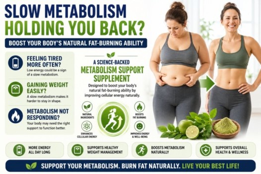 Mitolyn Supplement image showing slow metabolism, stubborn belly fat, low energy, cellular energy support, and natural fat-burning wellness support