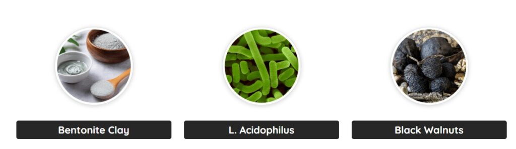 A natural ingredients visualization for GutOptim Review showing Prune, Oats, and Apple Pectin to aid digestive health.