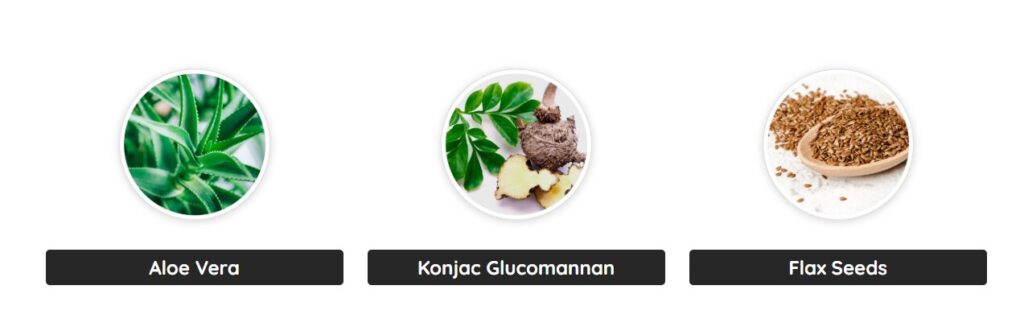 A visualization of natural ingredients used for GutOptim Review showing Aloe Vera, Konjac Glucomannan, and Flax Seeds for digestive wellness.