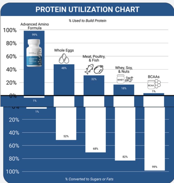 Protein utilization chart showing effectiveness of amino acid supplements vs eggs, meat, whey, and BCAAs for muscle protein absorption