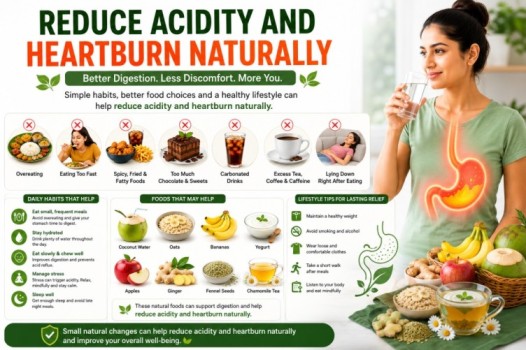 Feature infographic about reduce acidity and heartburn naturally, showing common causes of acidity, foods that may trigger acid reflux, healthy digestion-supporting foods, and daily lifestyle habits for better gut health and digestive comfort.