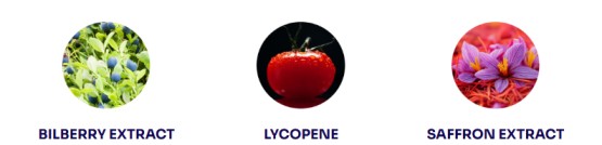 Eye Health Supplement botanical ingredients including Bilberry Extract, Lycopene, and Saffron Extract to support healthy vision, visual wellness, and daily eye care.