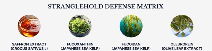 Phytomem One Review - Stranglehold Defense Matrix ingredients including Saffron Extract, Fucoxanthin, Fucoidan, and Oleuropein