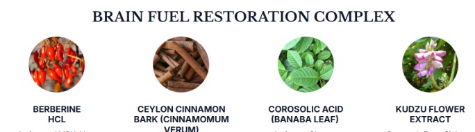 Phytomem One Review - Brain Fuel Restoration Complex ingredients including Berberine HCL, Ceylon Cinnamon Bark, Corosolic Acid, and Kudzu Flower Extract