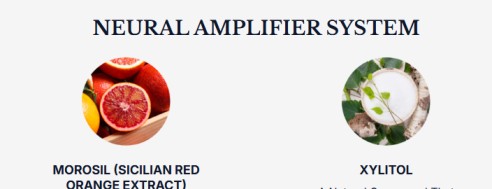 Phytomem One Review - Neural Amplifier System ingredients including Morosil Sicilian Red Orange Extract and Xylitol